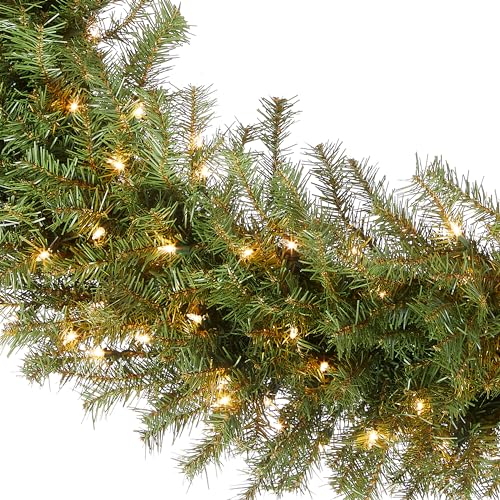 Image of National Tree Company Pre-Lit Artificial Christmas Wreath, Green, Norwood Fir, White Lights, Christmas Collection, 48 Inches