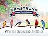 Armstrong Bird Food All Season Bird Seed Blend, 15.4 Pounds - with Black Oil Sunflower, Cut Corn and Wheat for Blue Jays, Dark-Eyed Juncos and Mourning Doves for Outside Feeders #5