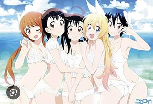 冬コミ限定 タペストリー Amazon.co.jp: ニセコイ タペストリー コミケ 水着 : ホビー