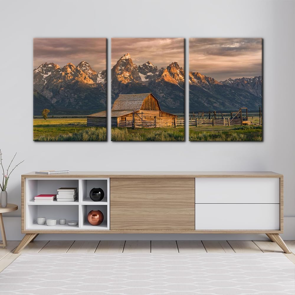 https://m.media-amazon.com/images/I/61H5-e+N66L._AC_SL1000_.jpg
