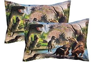 Colorful Dinosaur World Kids Pillow Cases