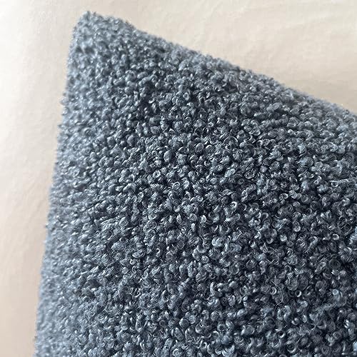 Image of Foindtower Pack of 2, Curly Faux Fur Decorative Throw Pillow Covers Soft Neutral Plush Cushion Case with Zipper Cozy Modern Pillowcase for Home Living Room Couch Bed Sofa 20 x 20 Inch, Blue