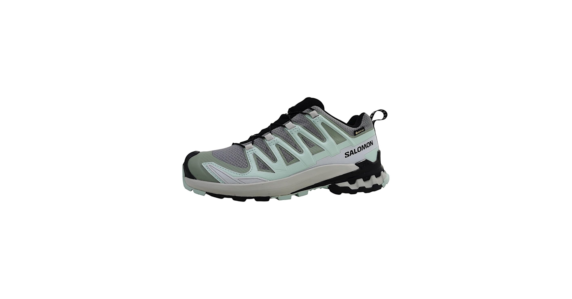Amazon.com | Salomon Women's XA Pro 3D V9 Gore-TEX Sneaker