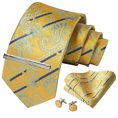 Image of Paisley Floral Mens Tie Formal Necktie Pocket Squares Ties Clips Cufflinks Classic for Men Set