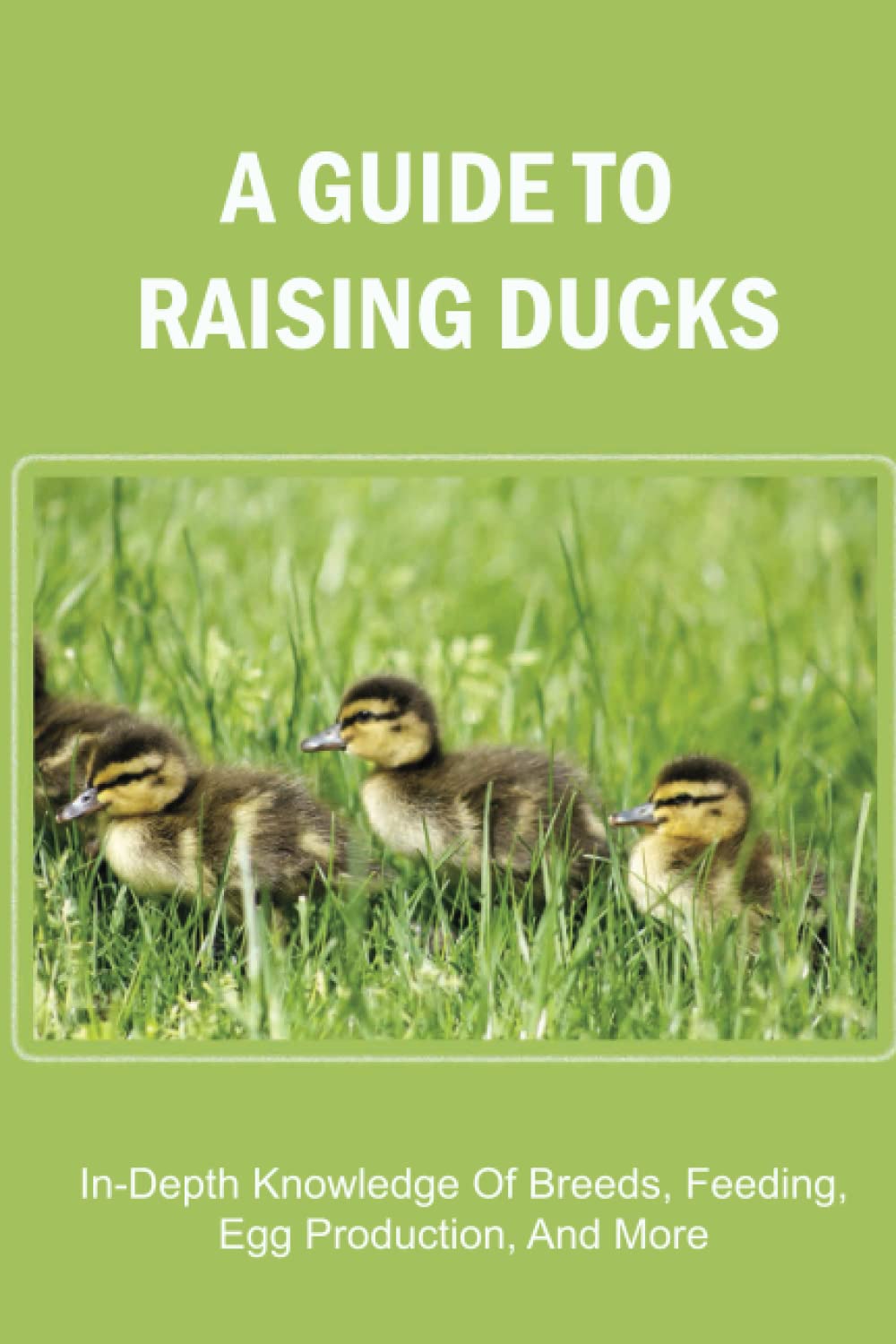 A Guide To Raising Ducks: In-Depth Knowledge Of Breeds, Feeding, Egg Production, And More
