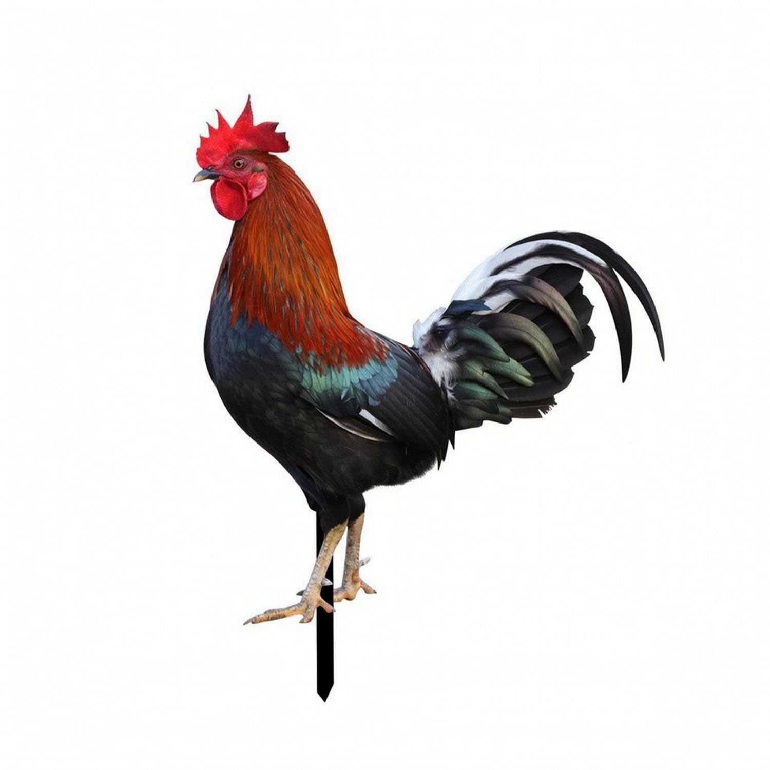 Printed Acrylic Garden Insert Lightweight Rooster Garden Sign Weatherproof Double-Sided Yard Sign Outdoor for Gardeners, Homeowners, Lawn, Flower Bed, Yklu089-picture-34