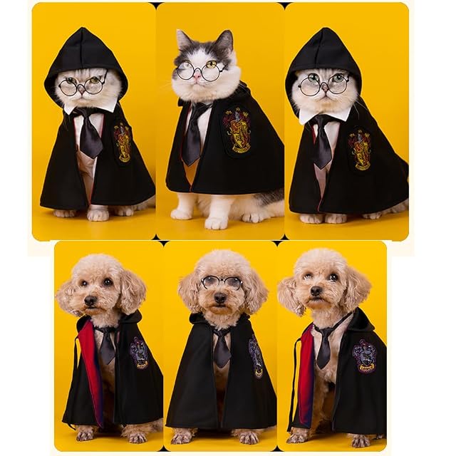 Foto 6 de 6 de ANIAC Disfraz de Mago para Perro, 3 Piezas, Capa, Gafas y Corbata para Halloween, Disfraz de Mago (L, Negro)