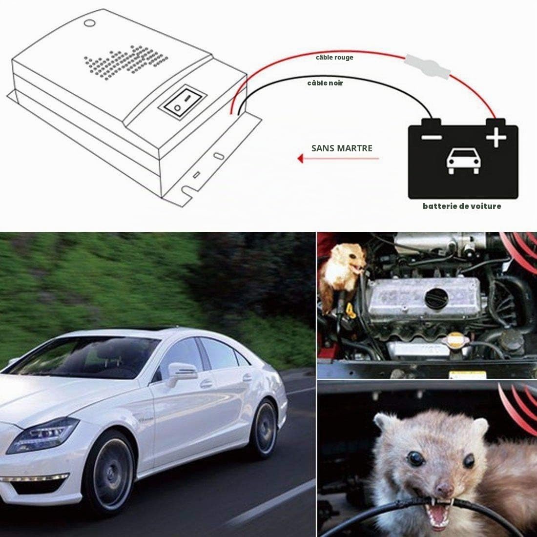 Répulsif à ultrasons pour souris, TOTMOX 12 V pour véhicule de voiture, rat, rongeur, animal, répulsif avec fonction flash LED, repousse en toute sécurité les parasites