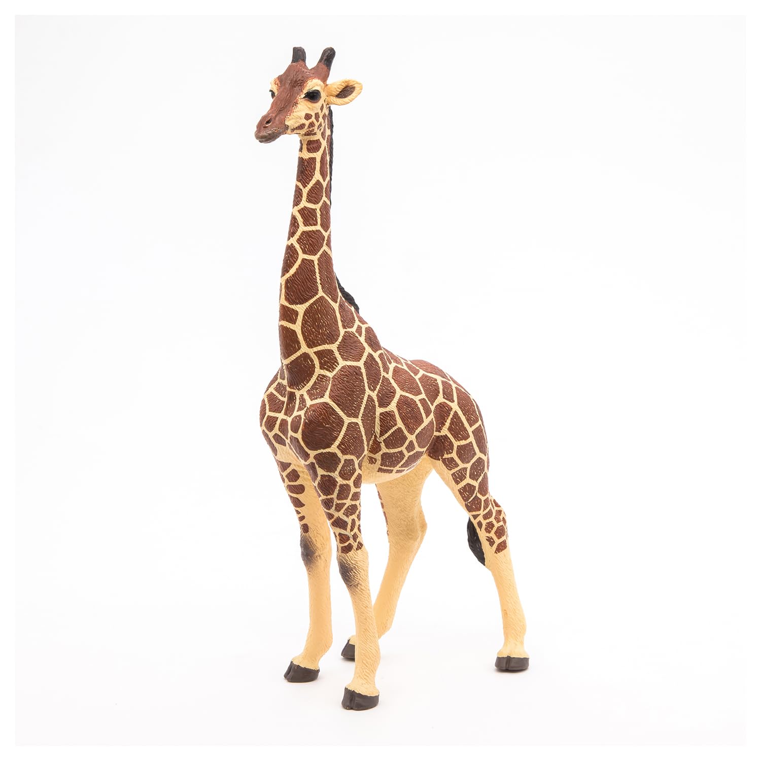 Buy Gustose E Colorate Per Bambini Dai 5 Mesi Ai 3 Anni Book Online At