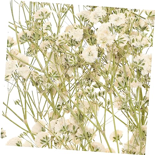Ramo de flores secas naturales para decoración DIY miniatura 7