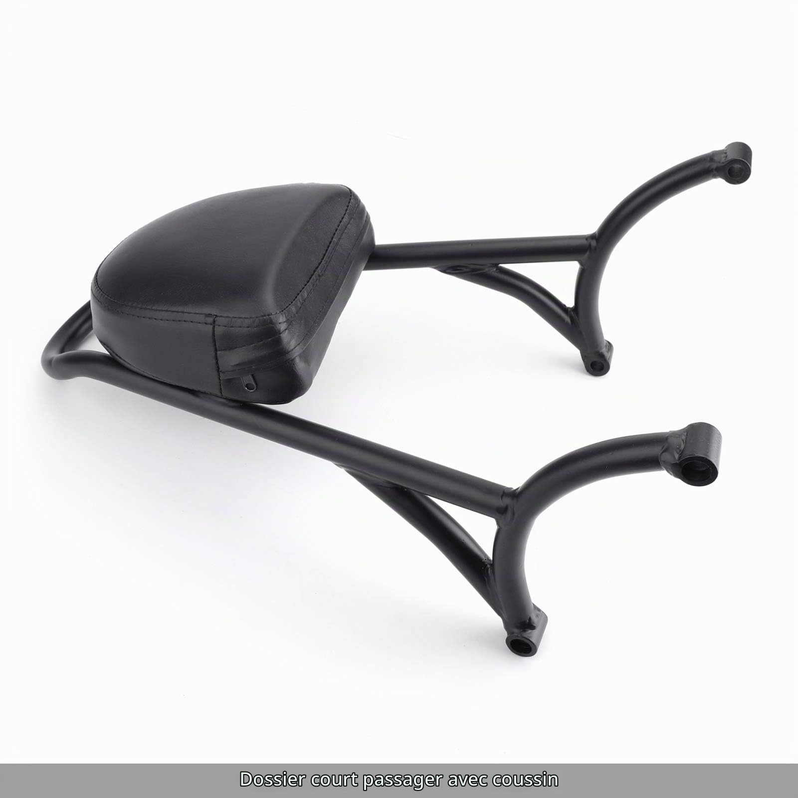 Topteng Sissy Bar de Moto, Dossier de Sissy Bar de Passager arrière avec Coussin adapté pour Sportster Iron Nightster 883 1200 XL, Noir
