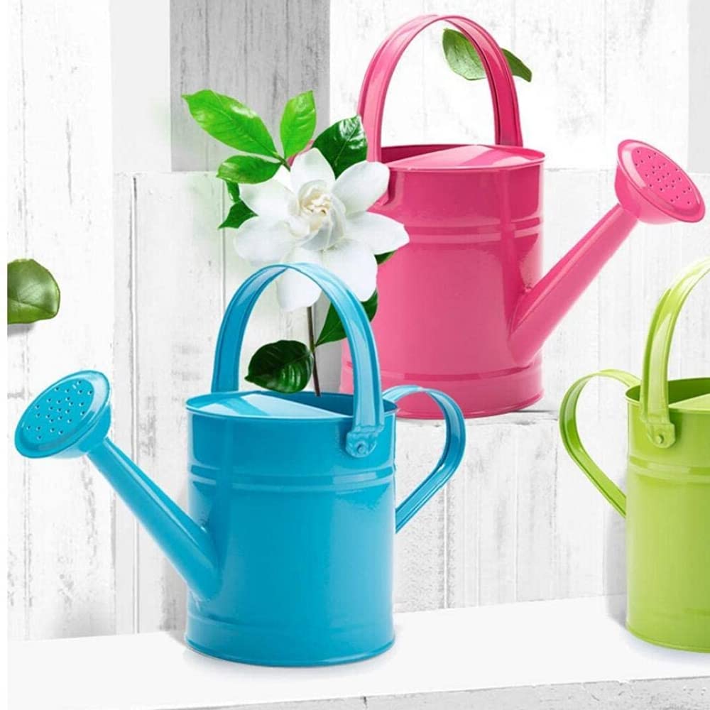 Annaffiatoio in Metallo Annaffiatoio da Giardino Secchio per Annaffiare in Ferro Color Caramella Spolverare in Latta Bollitore per Piante da Giardino Fiori-Blue