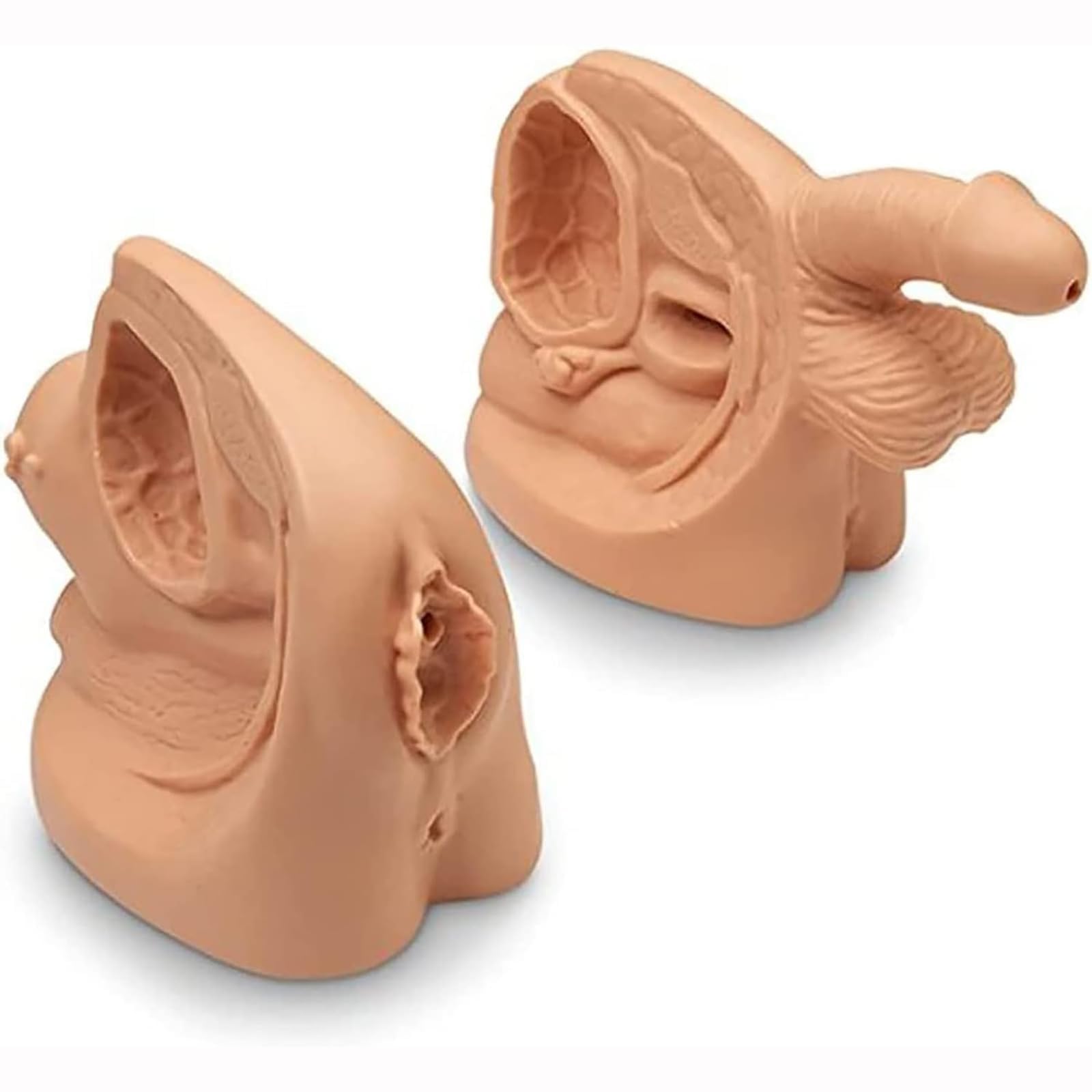 Opaeroo Anatomy Catheterization Model, Male Female Catheterization Model Internal and External Genital Anatomy Model, and Urinary Catheter Mold Education Model