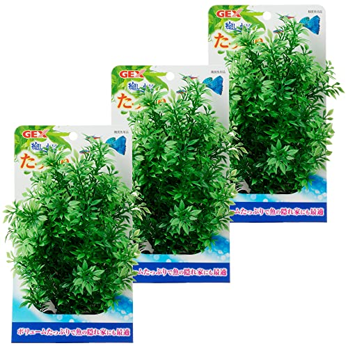 WFbNX i Ղ ^×3Zbg