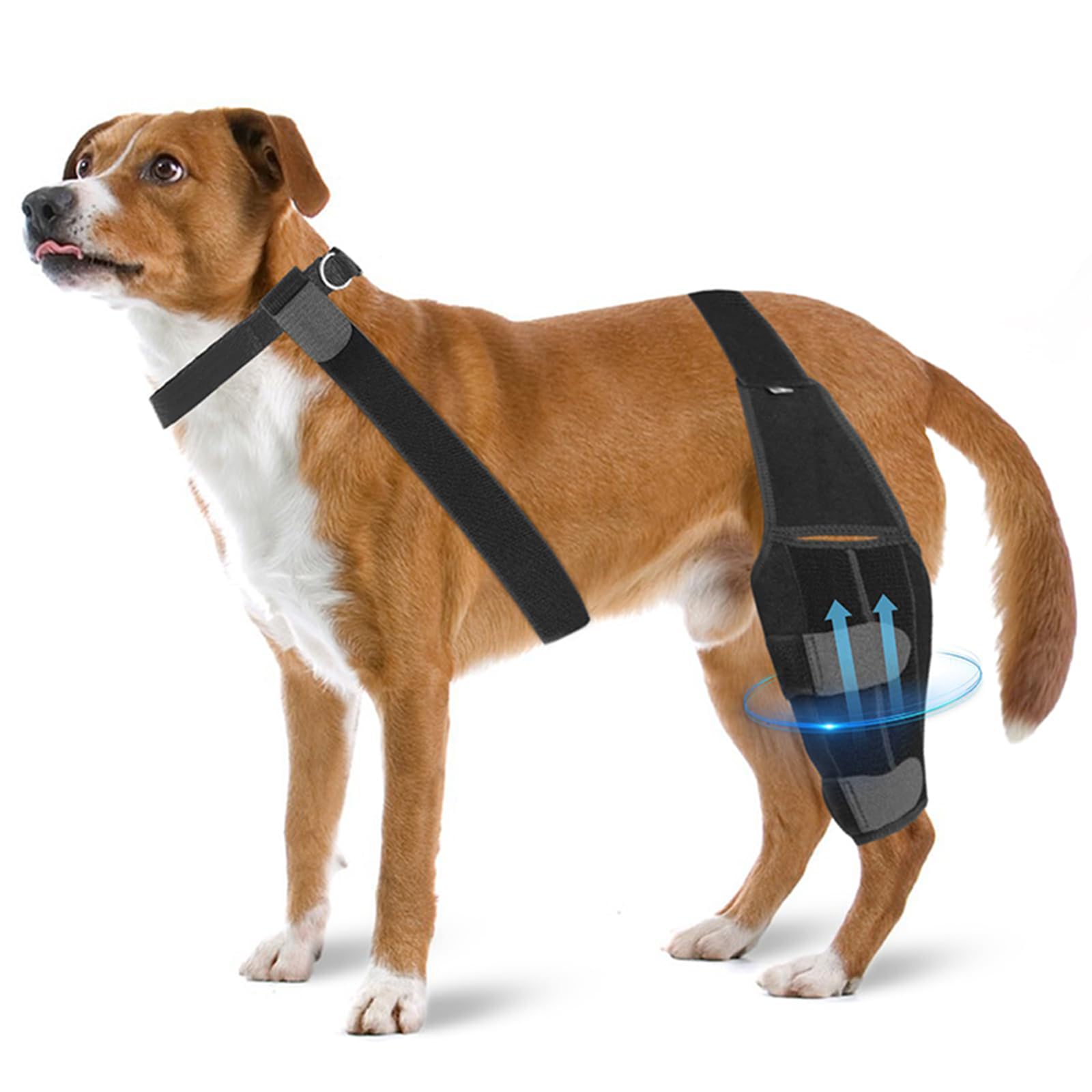 Tutore per cani per gamba posteriore e gamba del cane, supporto per la riabilitazione e il recupero post-operatorio (S)