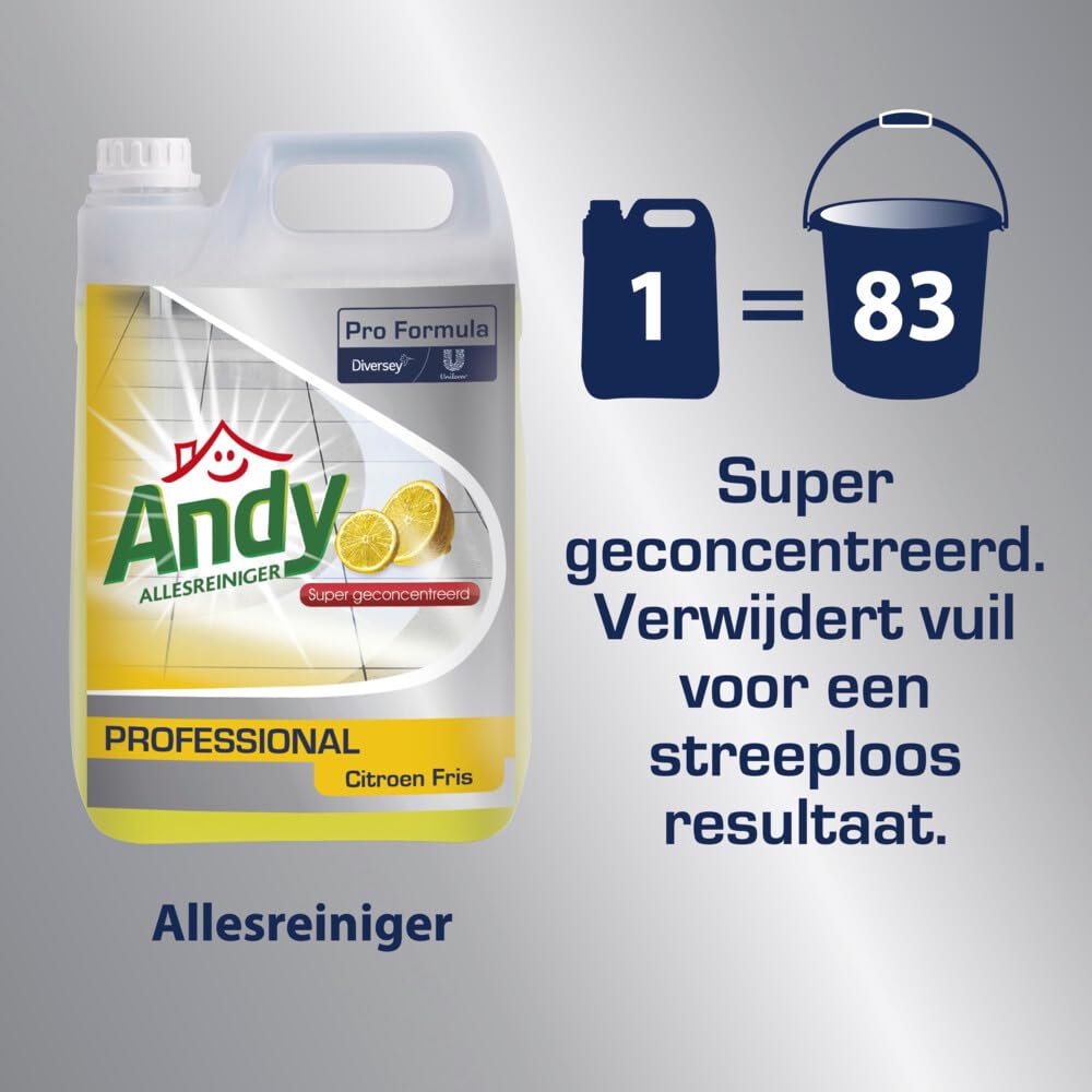 andy Lemon 2 x 5 L 10000ml Prodotto per la Pulizia