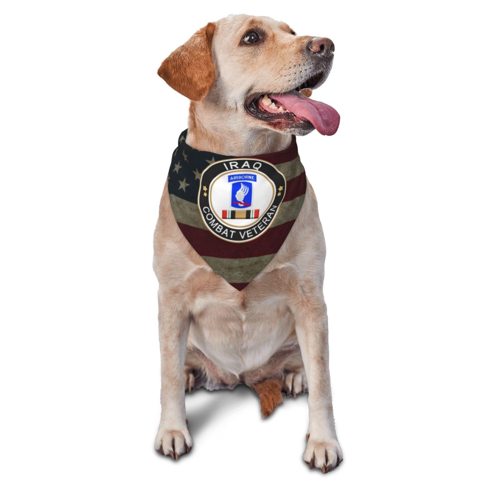 173rd Airborne Brigade Iraq Combat Veteran Dog Scarf Pet Bandana Cat Pet Bibs