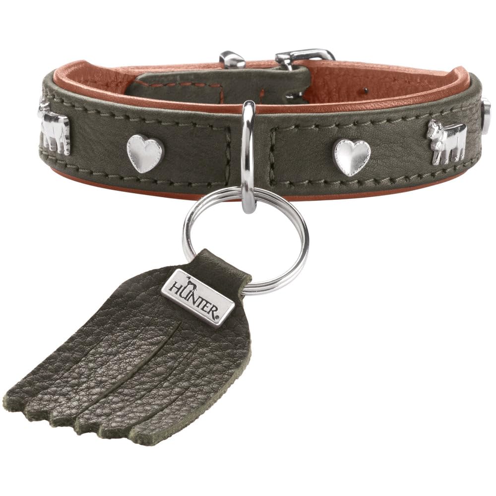 HUNTER Munich Mini Dog Collar Colour: Green/Cognac for Small Dogs and Puppies Leather, Elegant Costume Details