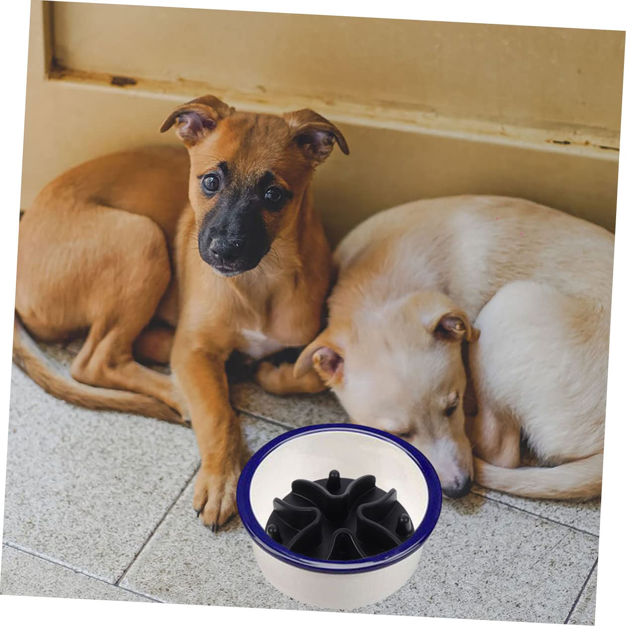 YARNOW Lot De 3 Gamelles À Alimentation Lente pour Chien Taille