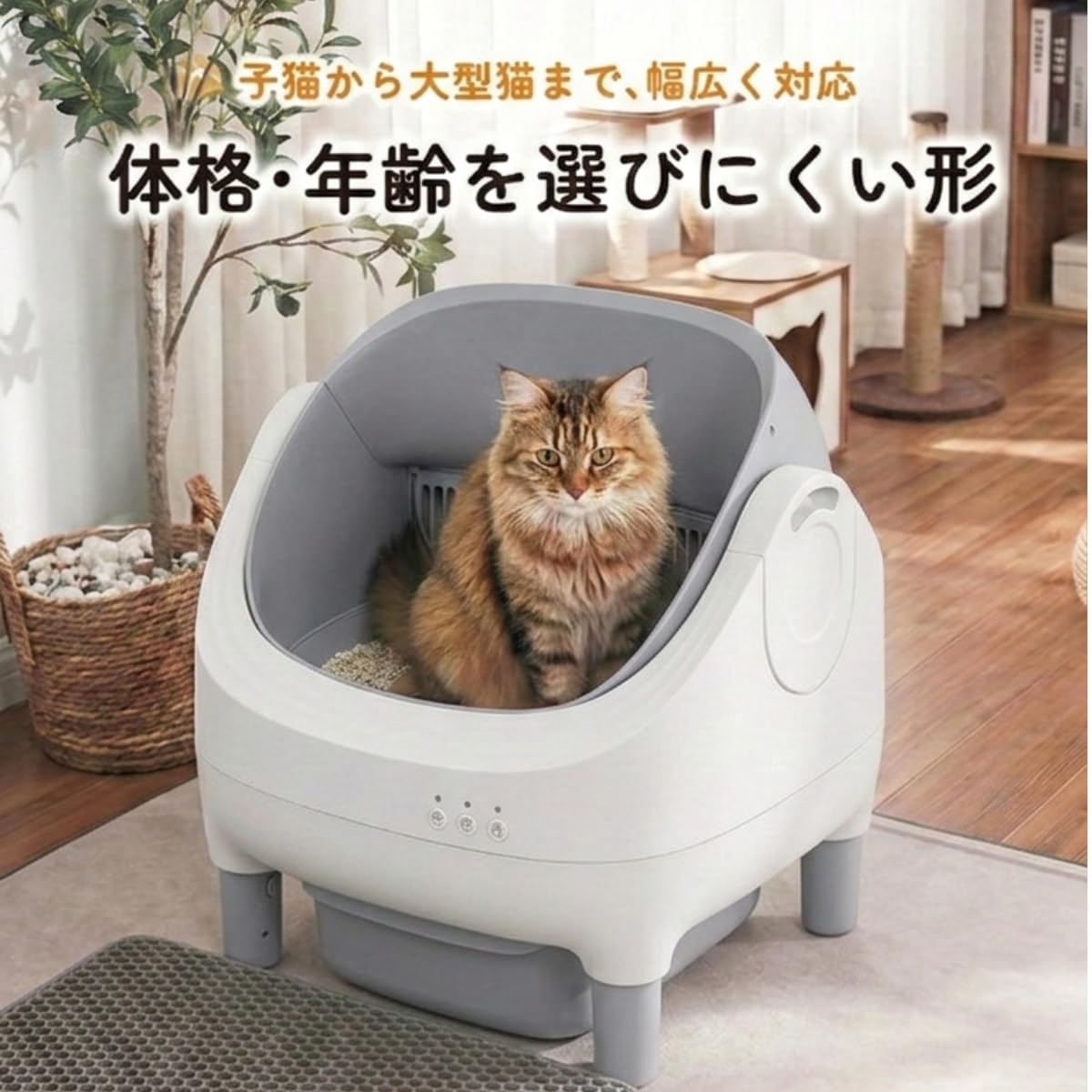 Amazon | Prairia 猫用自動トイレ オープン型 大型猫対応 多頭飼い対応