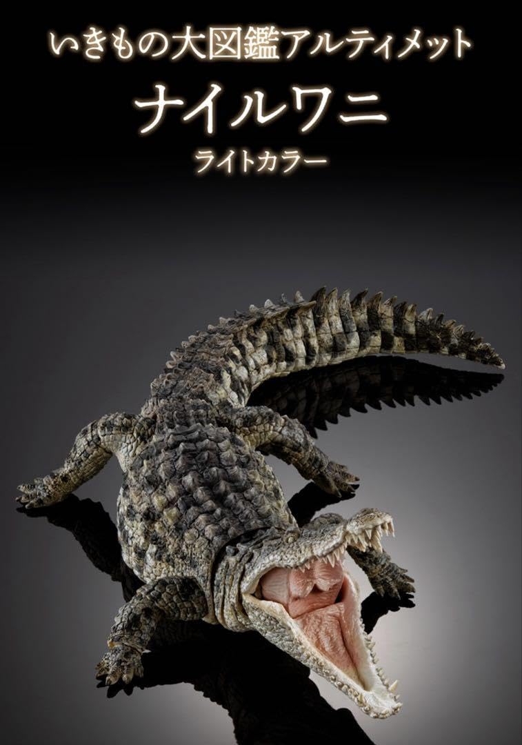 未使用　いきもの大図鑑アルティメット　ナイルワニ（ライトカラー）正規品 Amazon | いきもの大図鑑アルティメット ナイルワニ （ライト