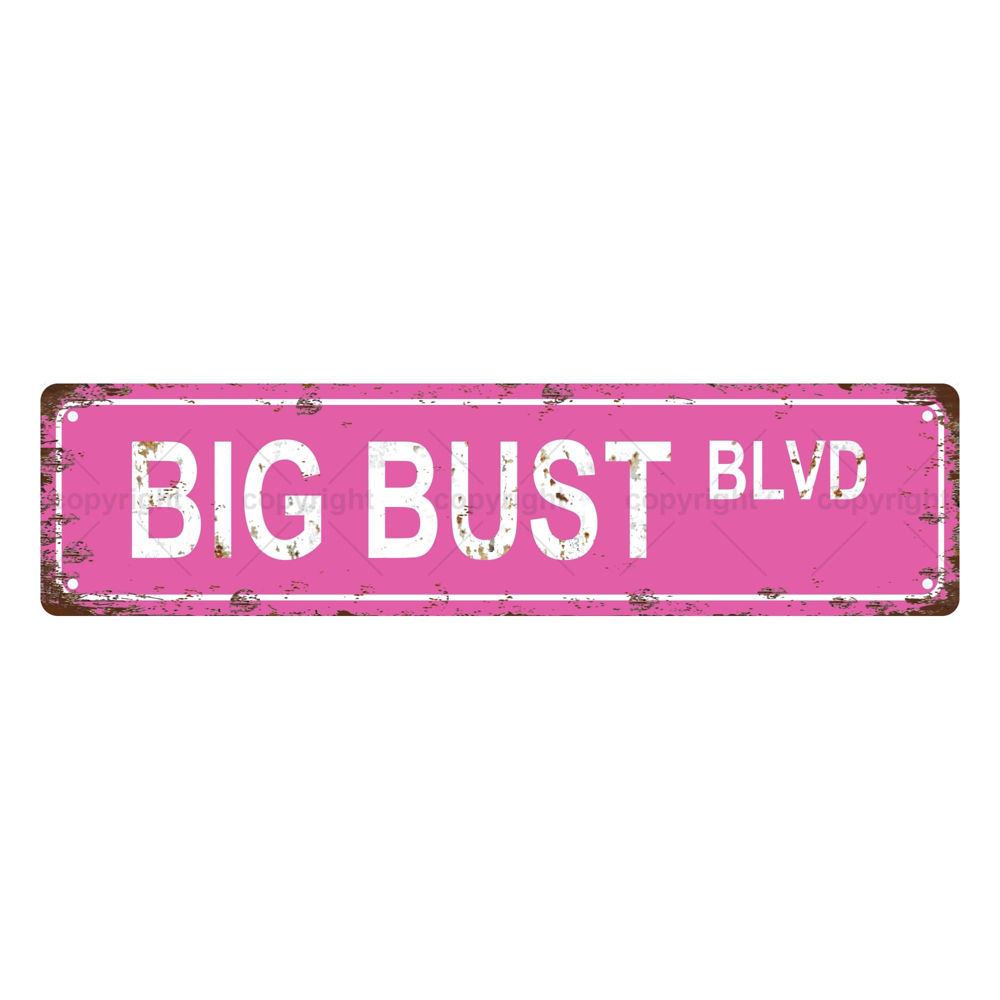 Big Bust BLVD Sexual Metal Tin Street Sign Bar Cafe Garage Cave Home Room Wall Bathroom Farmhouse Garden Porch Patio Decor,4x16 Inch