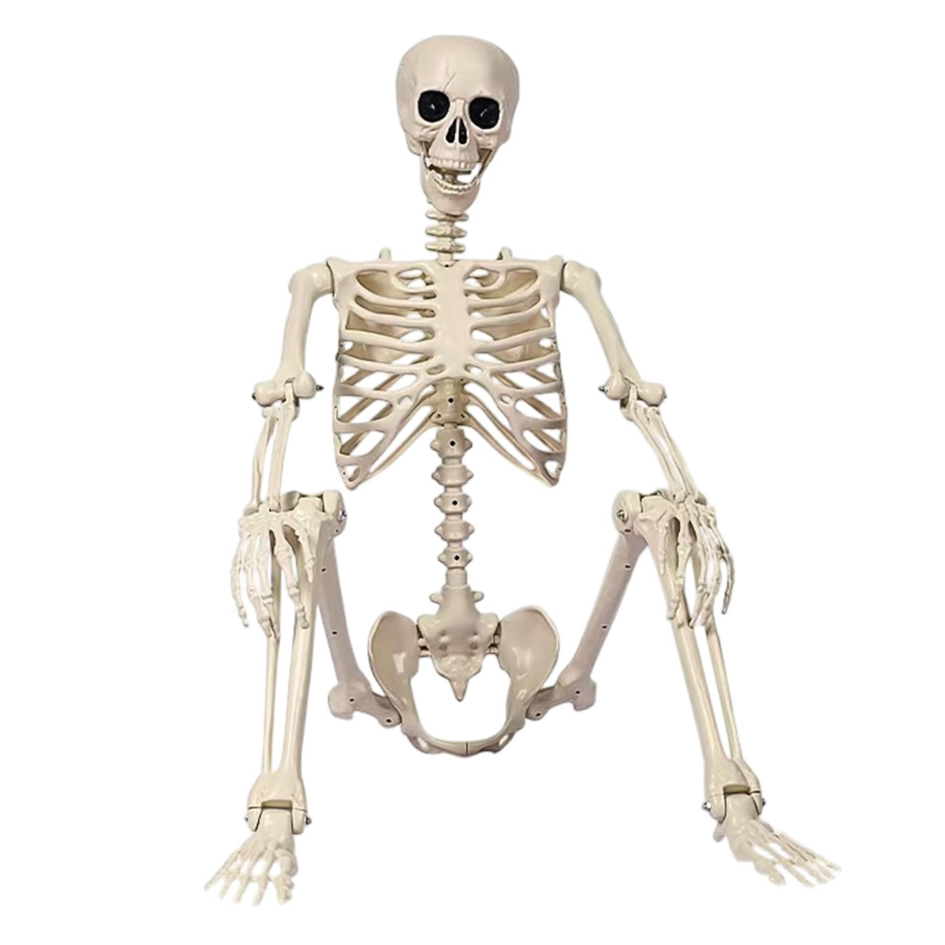 Squelette Halloween de 35,4 pouces en plastique rigide pour mise en scène extérieure