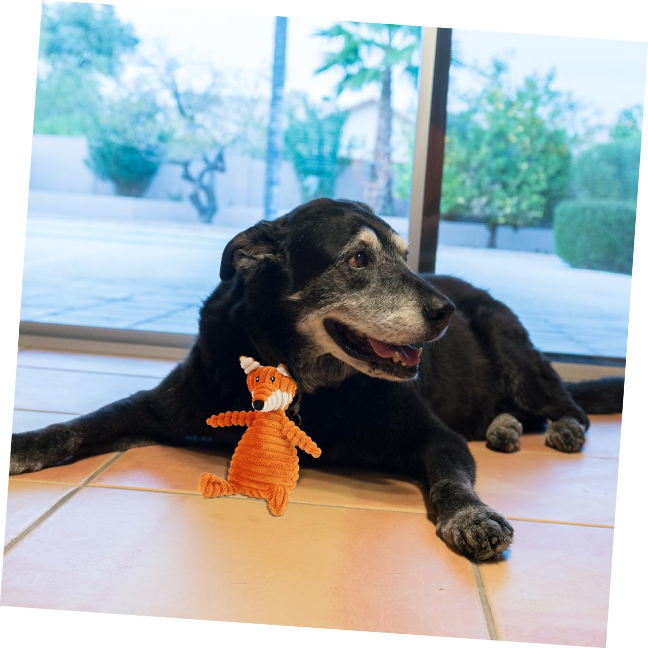 POPETPOP Giocattoli Sonori per Cani Set 3 Unitá in Peluche Resistente Suono, Design Adorabile per Giochi e Riduzione Comportamenti Distruttivi