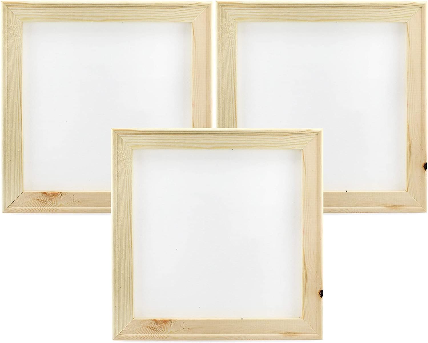 Decorae Reverse Canvases (3Pack, 12x12 Inches); Stretched