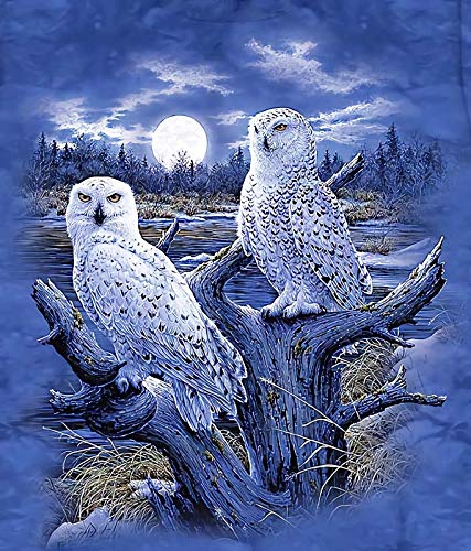 WZZPSD Puzzle 1000 Pièces Adultes Deux Hiboux Puzzle en Bois De Bricolage Style Cadeau Unique