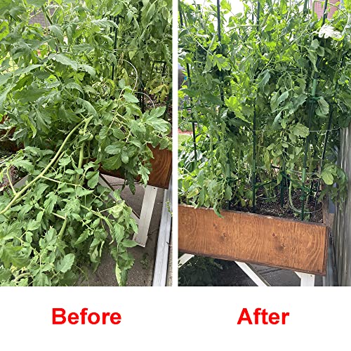 Nutroeno 3 Pack Tomato Cages For Garden thumb #3