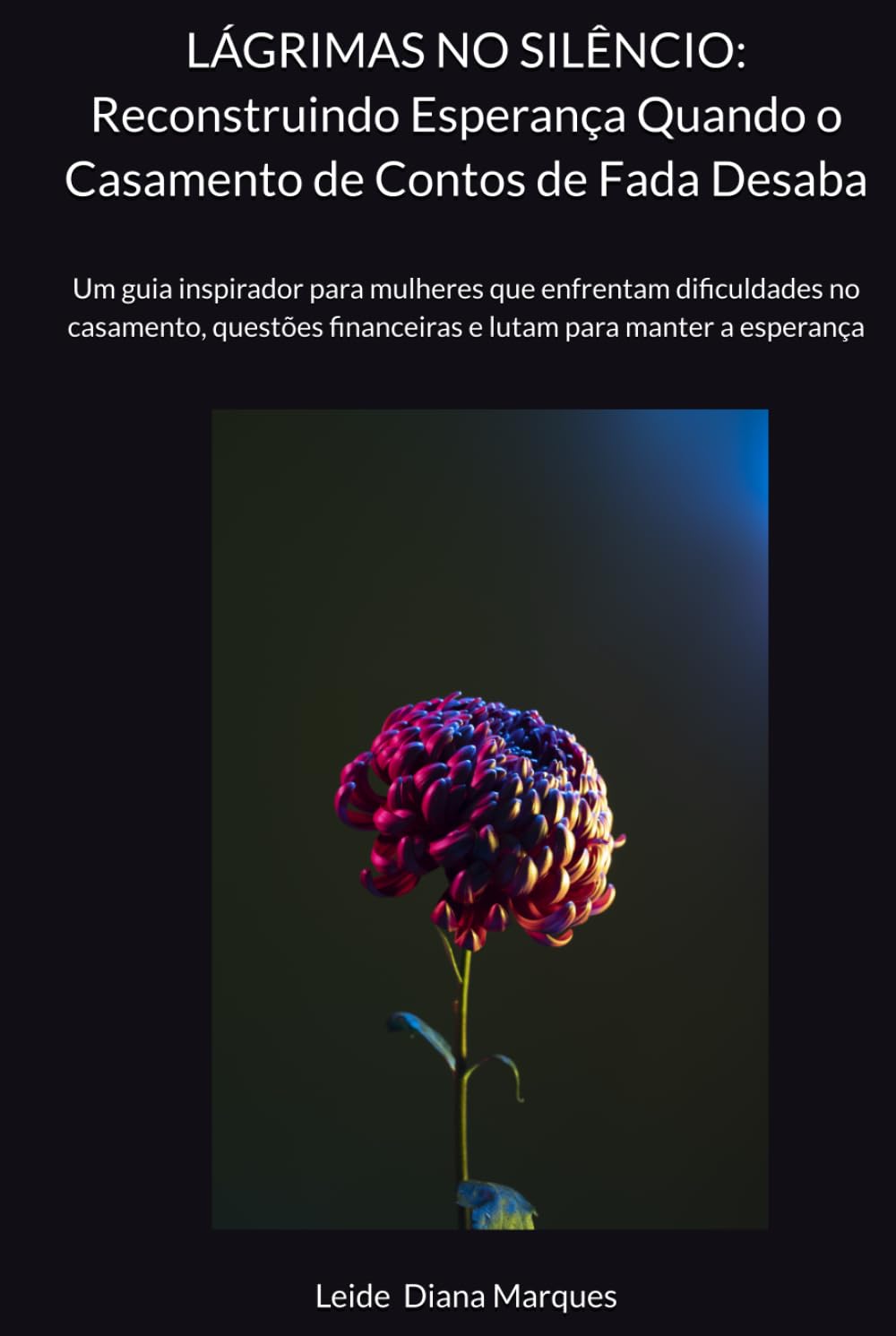 LÁGRIMAS NO SILÊNCIO: Reconstruindo Esperança Quando o Casamento de Contos de Fada Desaba: Um guia inspirador para mulheres que enfrentam dificuldades ... financeiras e lutam para manter a esperança