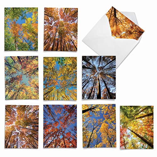 Image of The Best Card Company - 10 Beautiful Note Cards Blank (4 x 5.12 Inch) - Fall and Autumn Season, Boxed Notecard Assortment - Over the Top M2006