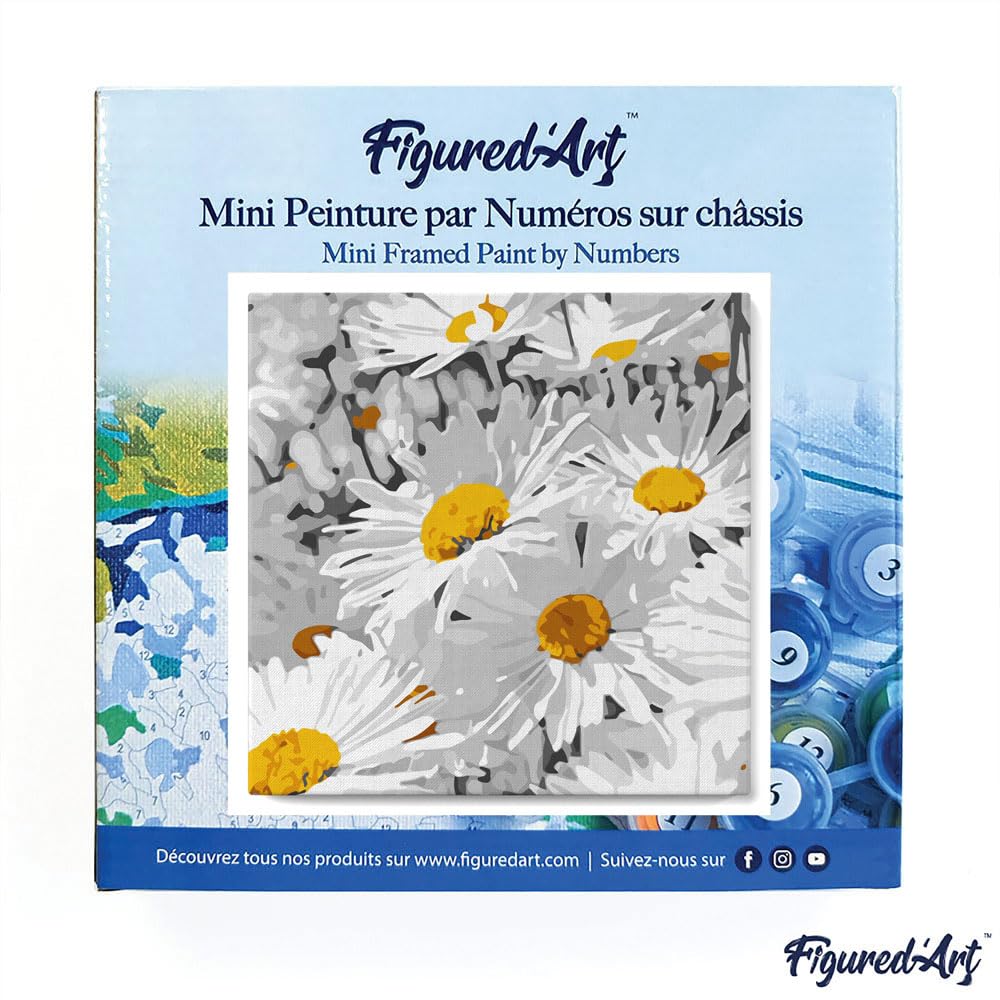 Figured'Art Mini Peinture Par Numéro Adulte 20x20cm Avec Cadre - Femme Et Marguerites - Kit Complet DIY Loisir Créatif