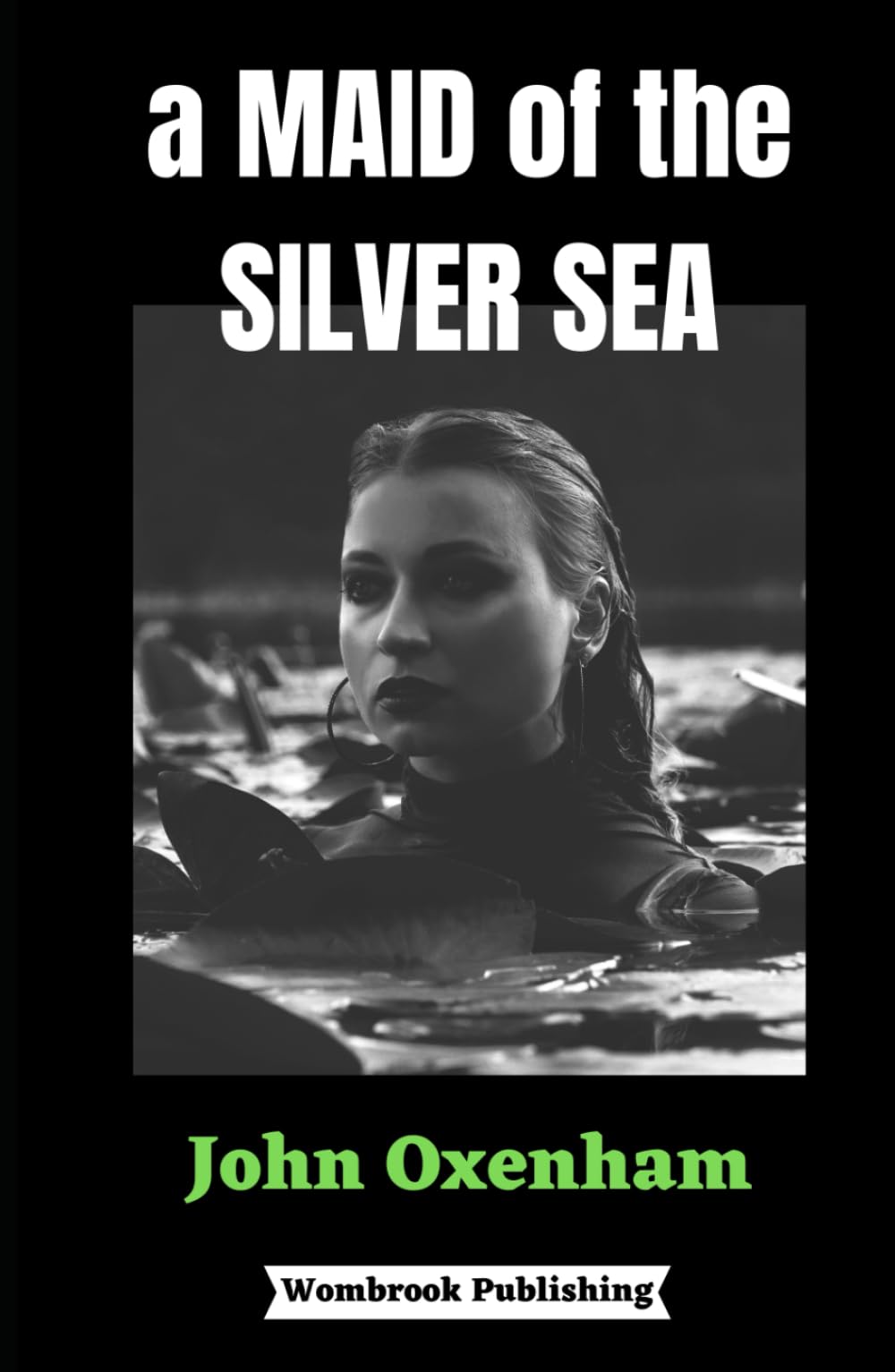 A Maid of the Silver Sea: Chronicles of Mystery, Murder and Redemption