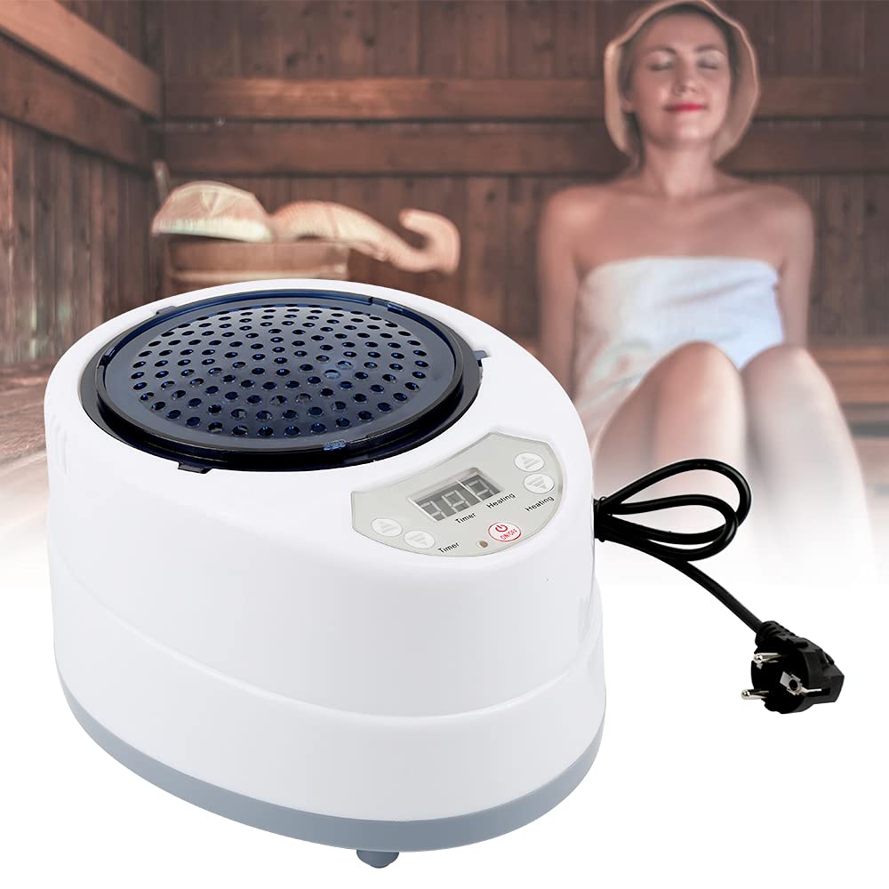 Générateur de vapeur mobile 2 l 1000 W chaudière sauna