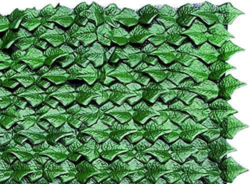 Blinky 7970610 Siepi Sempreverde, Verde