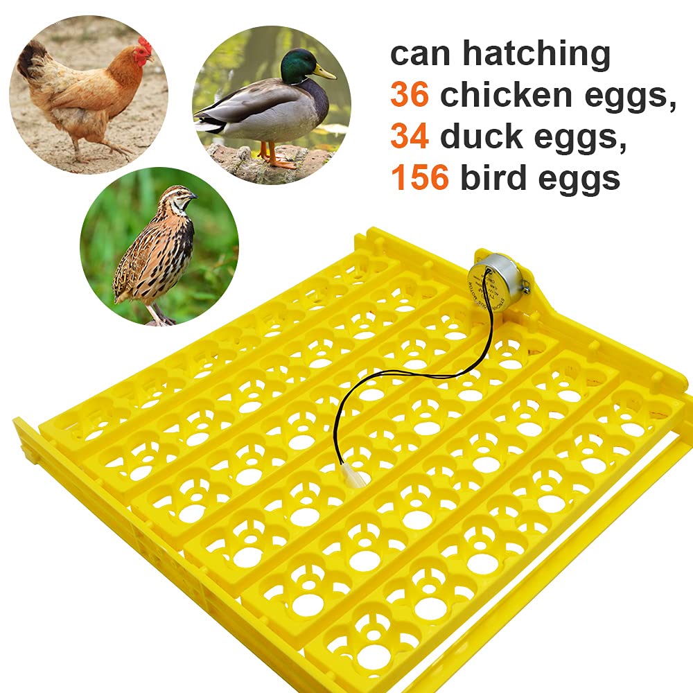 Bandeja de Huevos para incubadora, giratoria, automática, con Motor, para Pollos, Patos y pájaros (220 V)