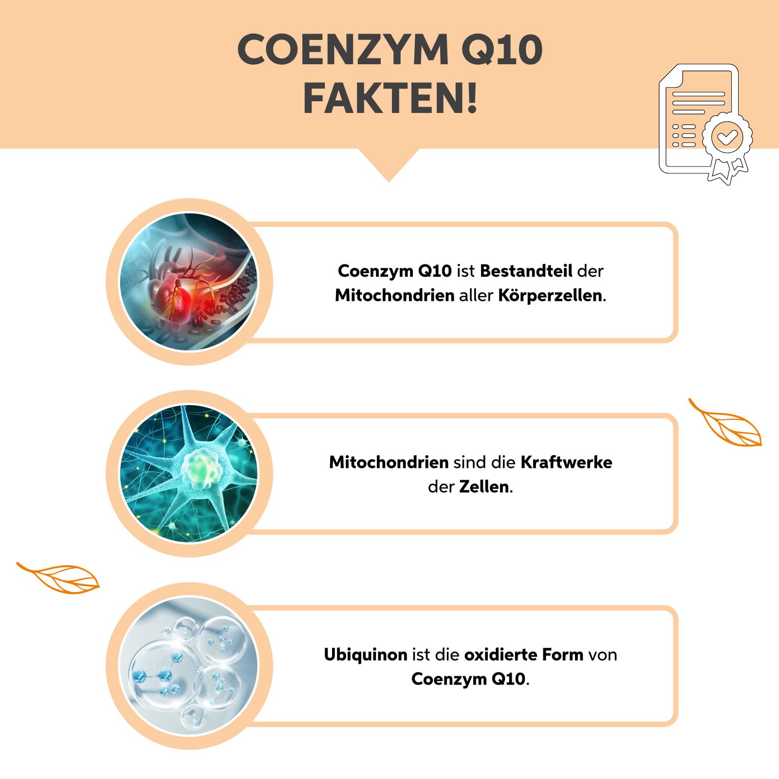 Coenzima Q10 capsule 200 pezzi | 200 mg alto dosaggio Premium Ubiquinone | Vegano da fermentazione vegetale
