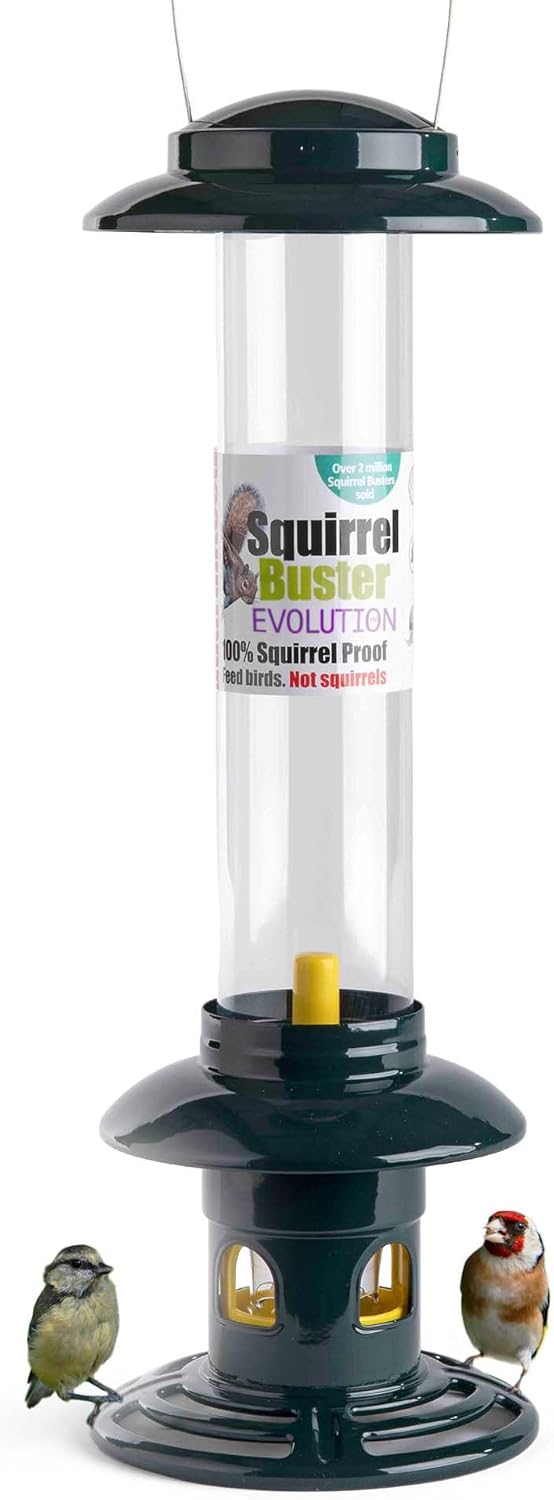 Squirrelproof Bird Feeder for Seeds & Blends Jacobi Jayne® Squirrel