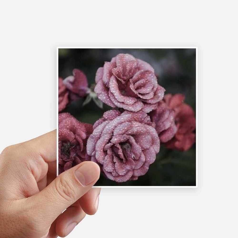 Autocollant carré fleurs roses stickers pc portable valise moto mur lot de 8