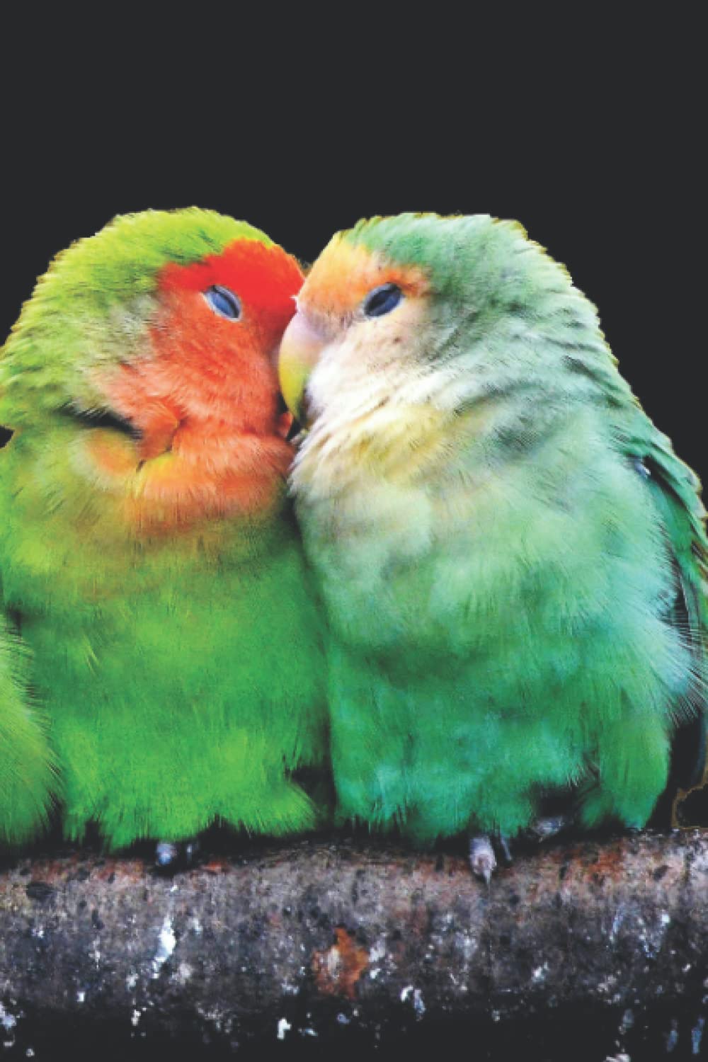Love Bird Journal: Blank Lined Notebook