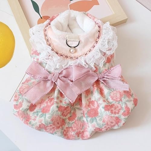 [SeitenFB]ybg ptX[us[X Pl t[vg tbNt [hΉ H~p nN g ۉ  L p hbOEFA efB rVt[[ ^ M