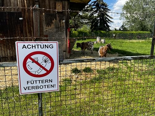 2 Stück Achtung Füttern verboten ! Schild 20 x 30 cm aus stabiler PVC Hartschaumplatte 3mm mit UV-Schutz von STROBO
