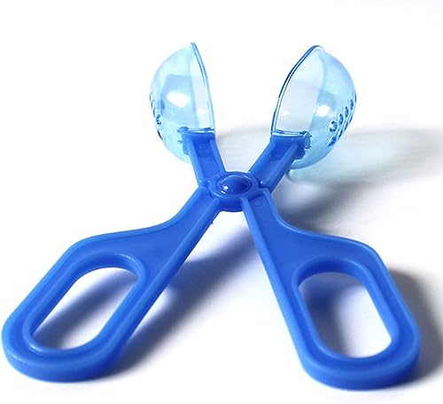 Miniatura 3 de Herramienta de limpieza azul de alimentación de reptiles, herramienta de alimentación de anfibios, terrario, araña, grillo, abrazadera, 1 ud