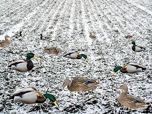 image for TCDesignerProducts Mallard Feeder Flat Silhouette Decoys,18-Pack Reali