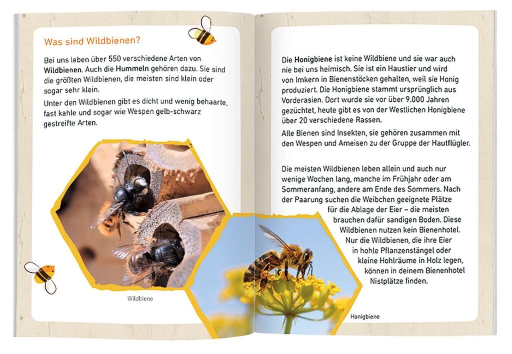 moses Bienenhotel Expedition Natura, Nido e svernamento per api Selvatiche, con emozionante Libretto per Bambini