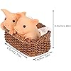 Product Photo 2
