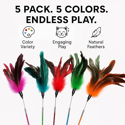 Miniatura 6 de Varita de juguete de plumas para gatos, juego de 5 varitas interactivas con plumas, diseño de resorte duradero, perfecto para divertirse en el