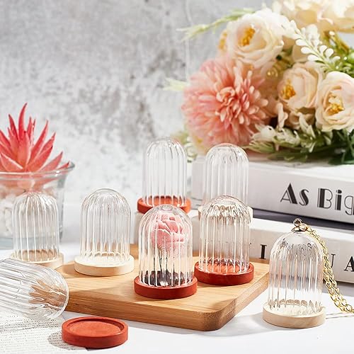 Miniatura 5 de NBEADS 10 unidades de mini cúpula de cristal, 1.5 x 1 pulgadas de diámetro, cúpula de cristal transparente con base de madera de 2 colores para